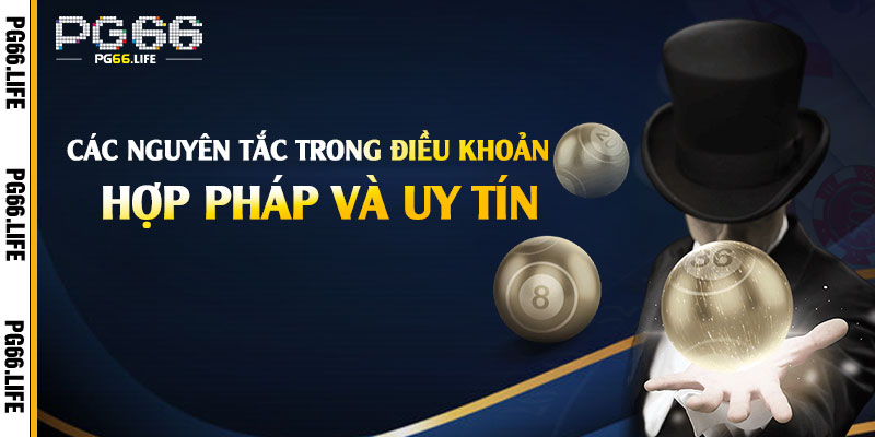 Các Nguyên Tắc Trong Điều Khoản Pg66 Hợp Pháp Và Uy Tín