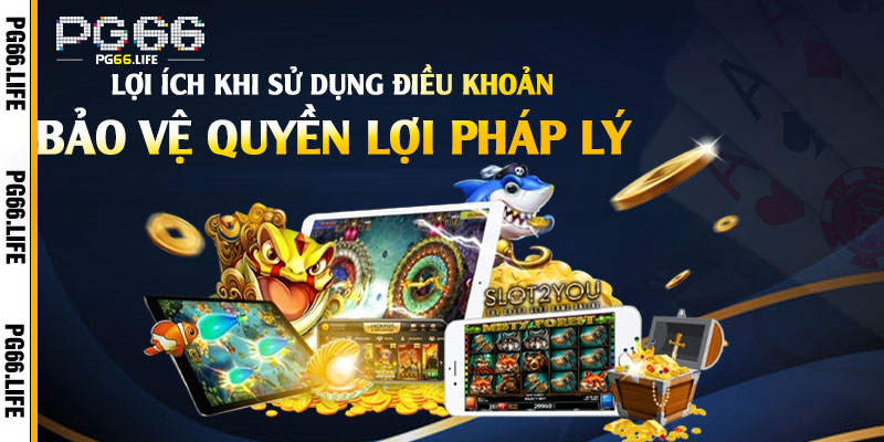 Lợi Ích Khi Sử Dụng Điều Khoản Pg66 – Bảo Vệ Quyền Lợi Pháp Lý